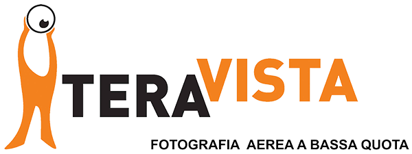 Logo Teravista nero